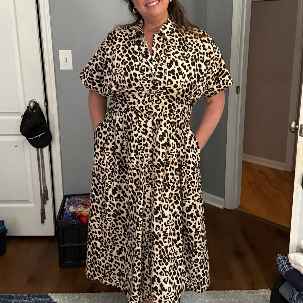 Tobie button front dress from Anthropologie
